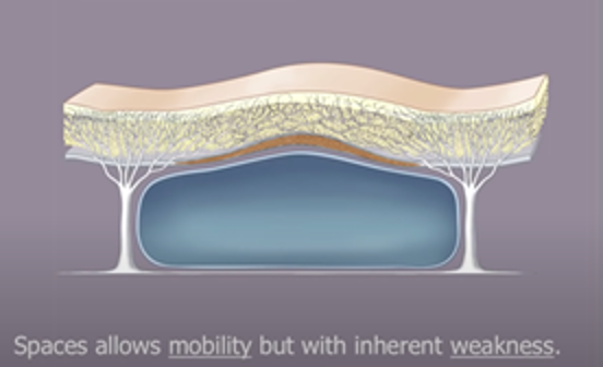Deep Plane Facelift: alles over de meest natuurlijke facelift - Prof. Aesthetics - Prof. Dr. Berend van der Lei