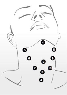 Profhilo® behandeling: natuurlijke anti-aging voor de huid - Prof. Aesthetics - Prof. Dr. Berend van der Lei